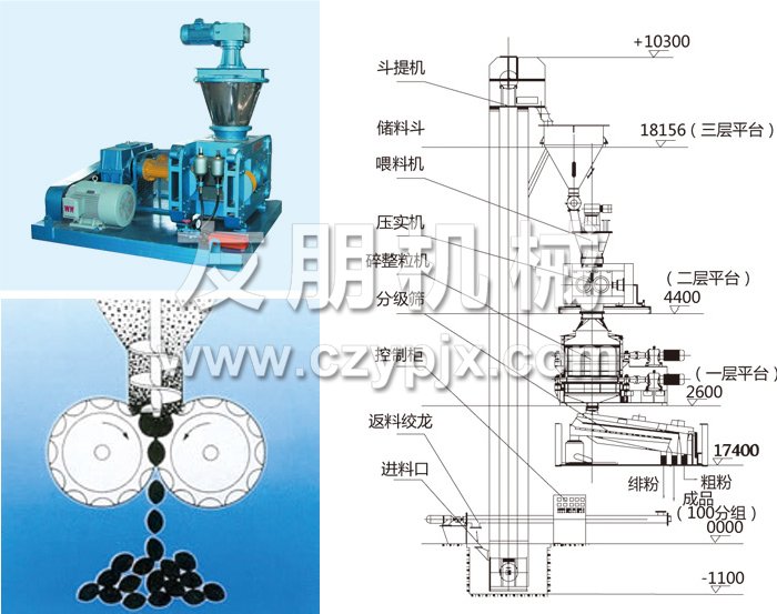 干法輥壓造粒機(jī)結(jié)構(gòu)示意圖